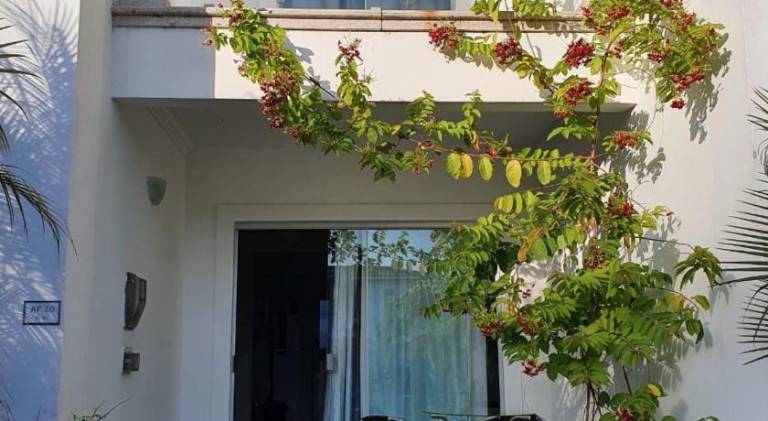 Holiday apartment with pool | Pets are welcome in Porto Seguro