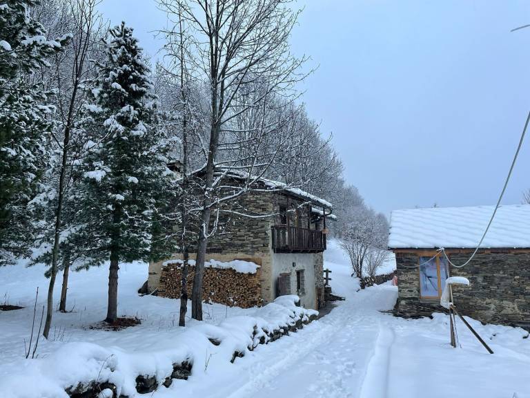 Cabin Frassino