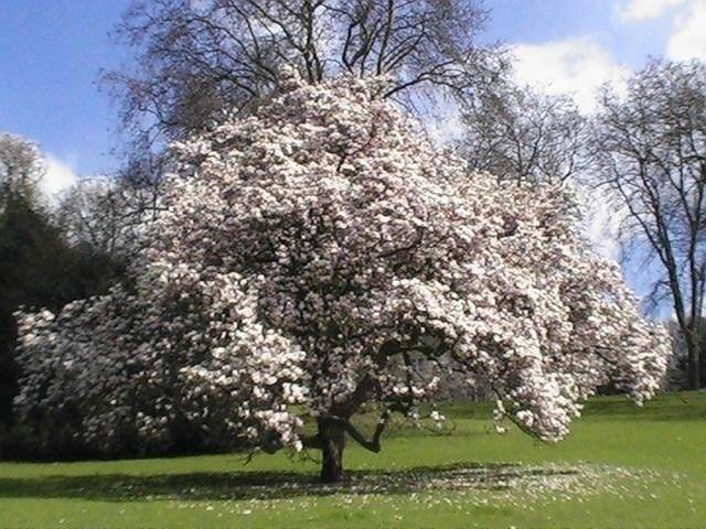 foto10