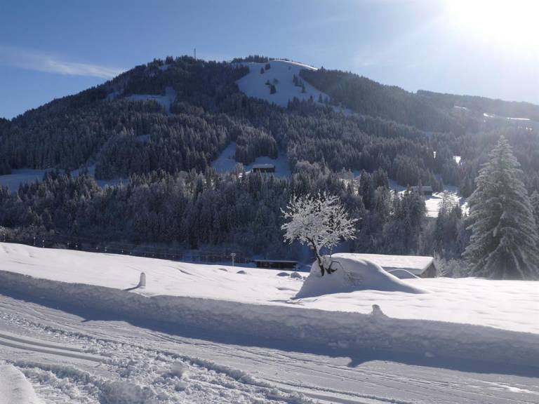 foto15