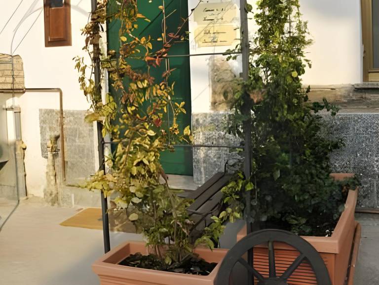 foto4