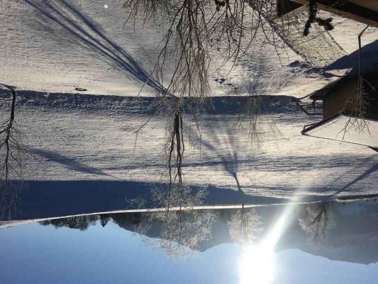 foto15