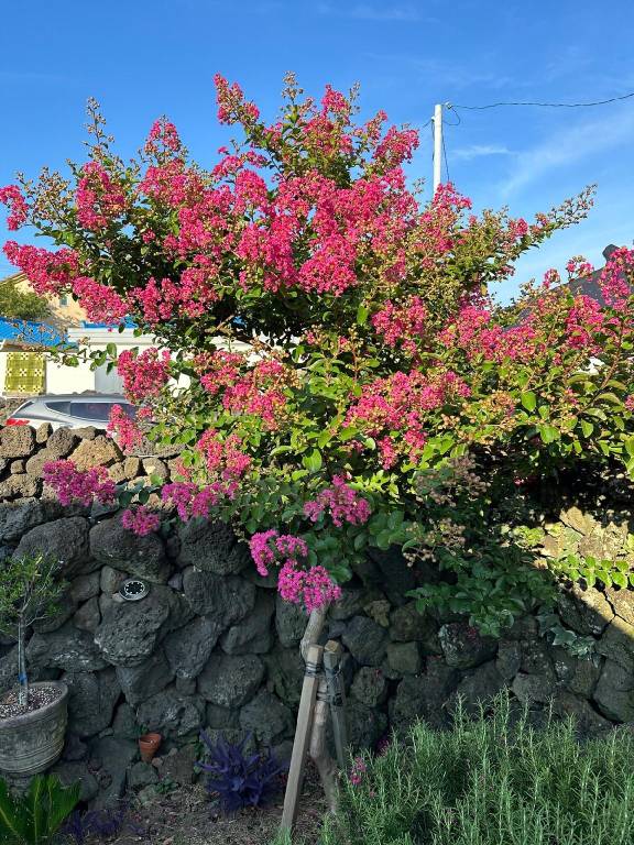 foto42