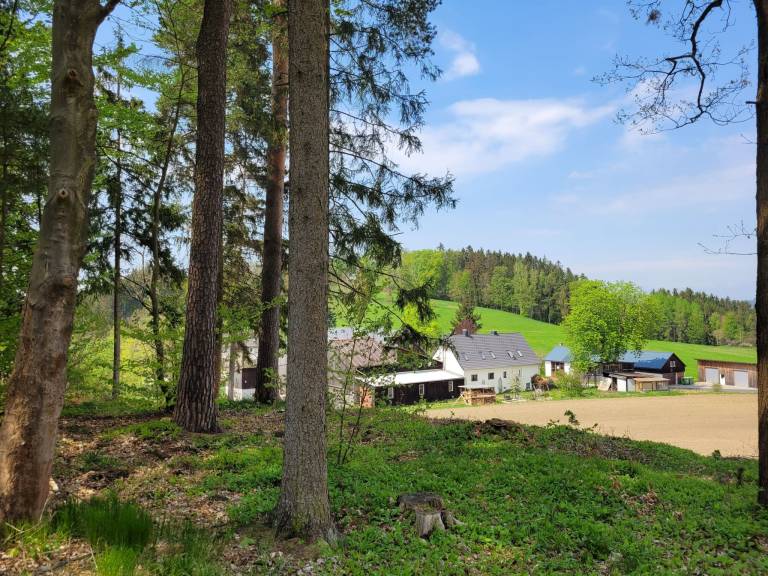 Ferienwohnung  Bad Brambach