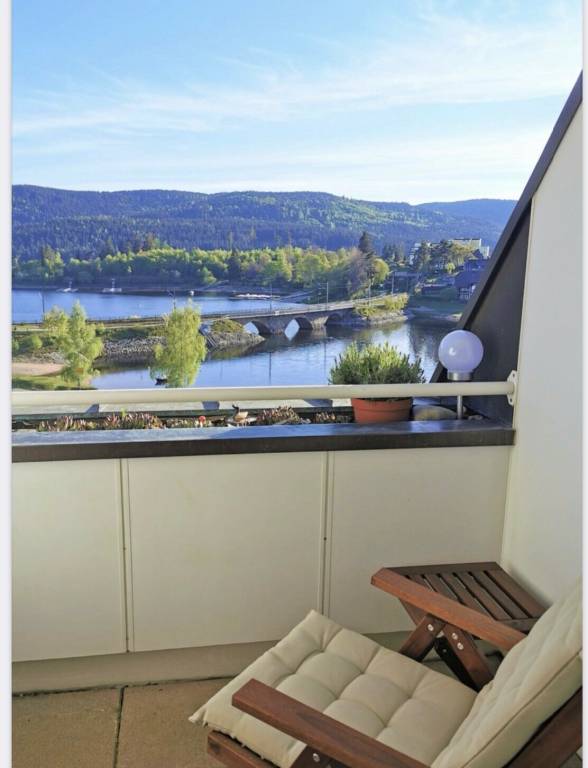Rental apartment with jacuzzi, garden & sauna | Lake view — photo 2