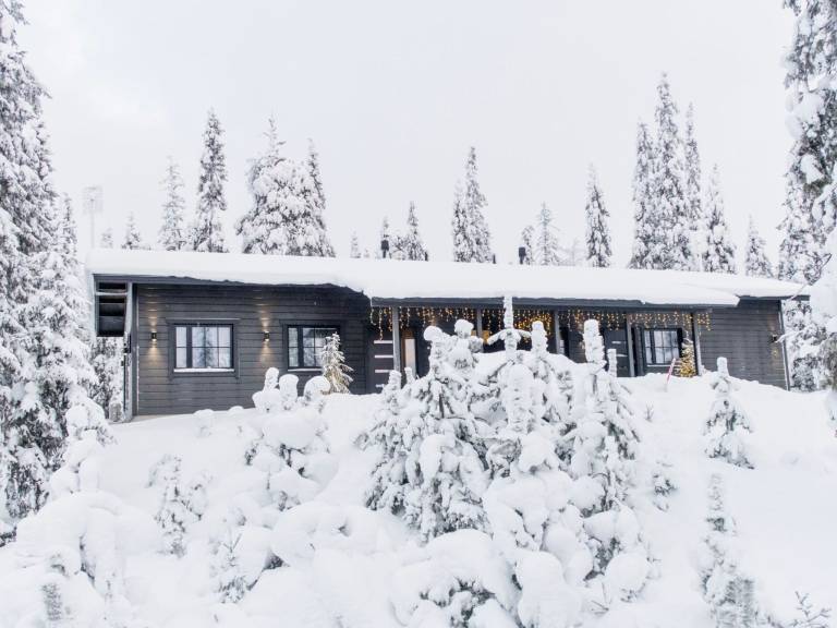 Ferienhaus Kuusamo