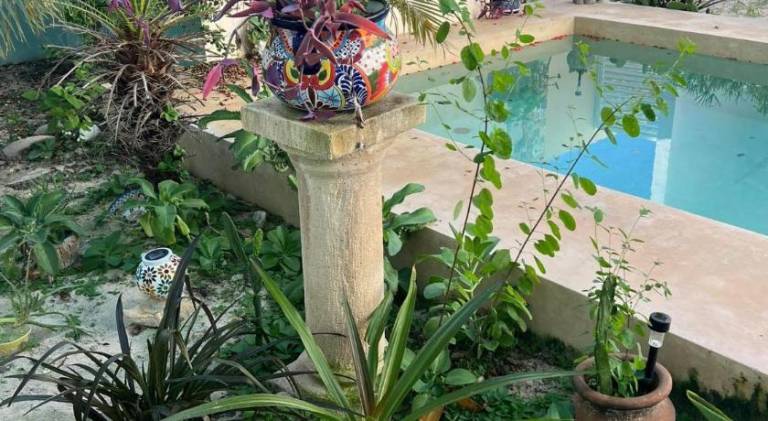 El Oasis — photo 3