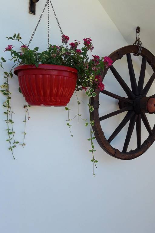 House with grill, terrace & garden — photo 4