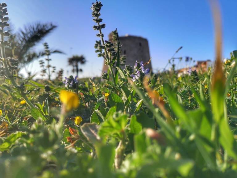 foto14