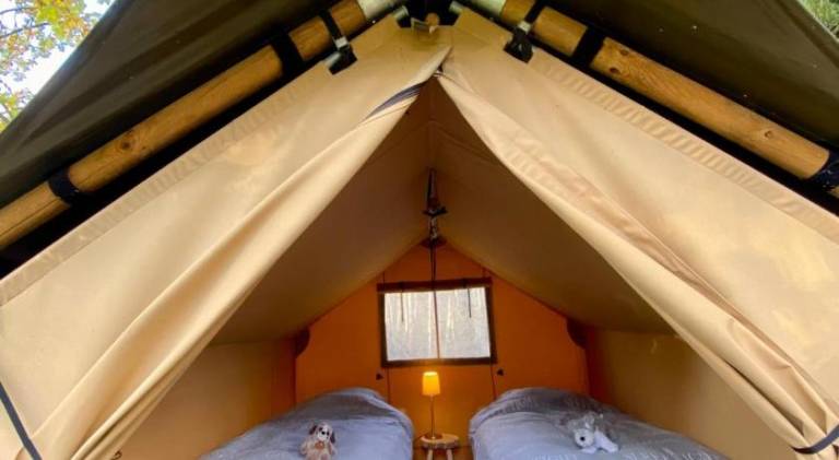 Kabana eco forest suite