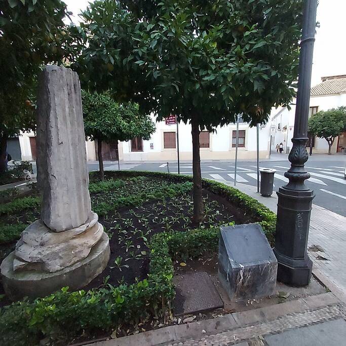 foto44