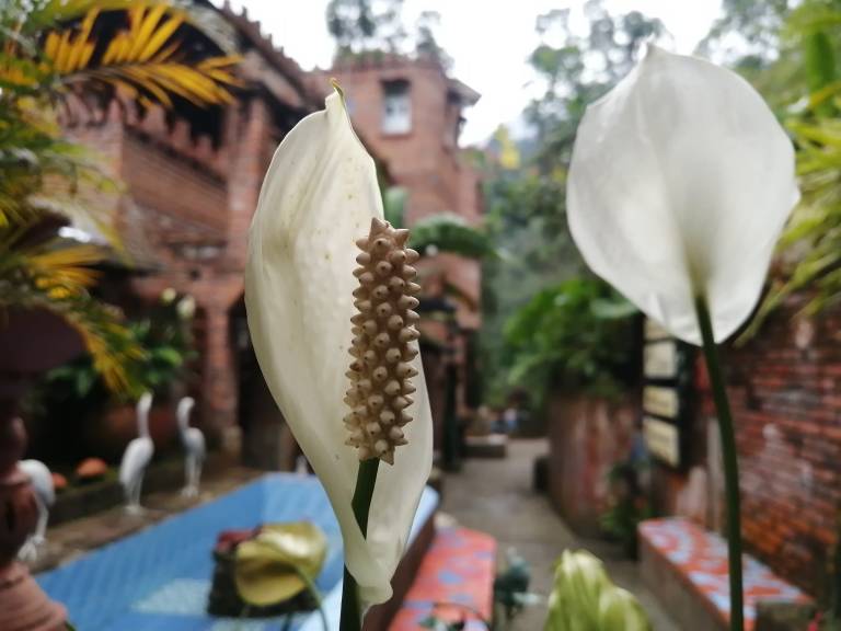 foto17