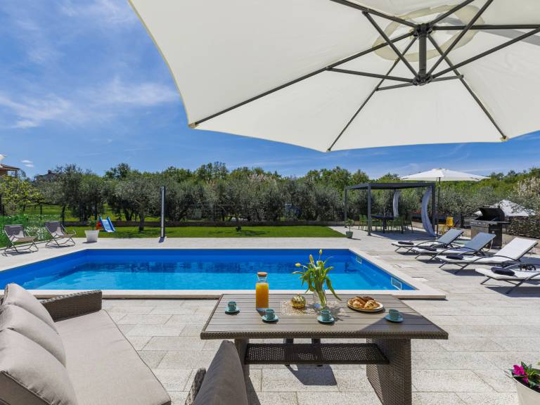 House with yard, private pool & grill — photo 4
