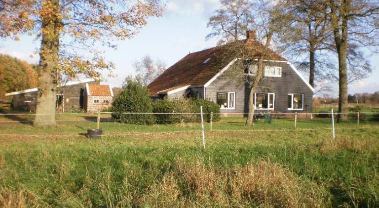 foto11