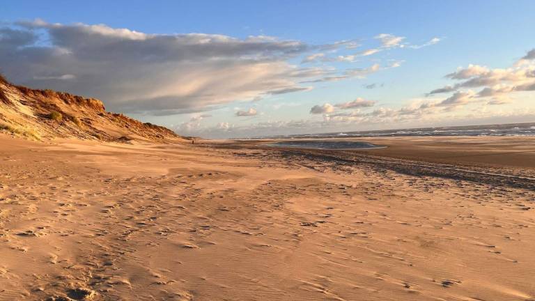 Ferienhaus Ringkøbing