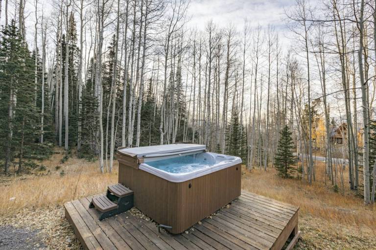 House Telluride