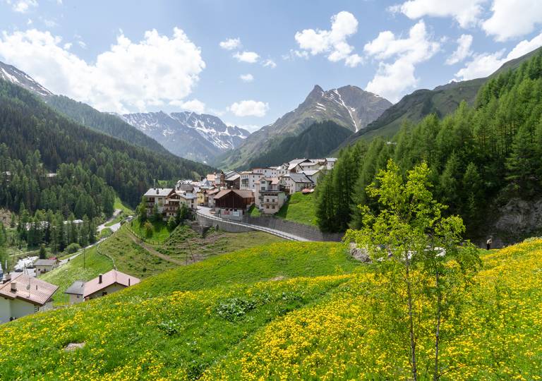 foto2