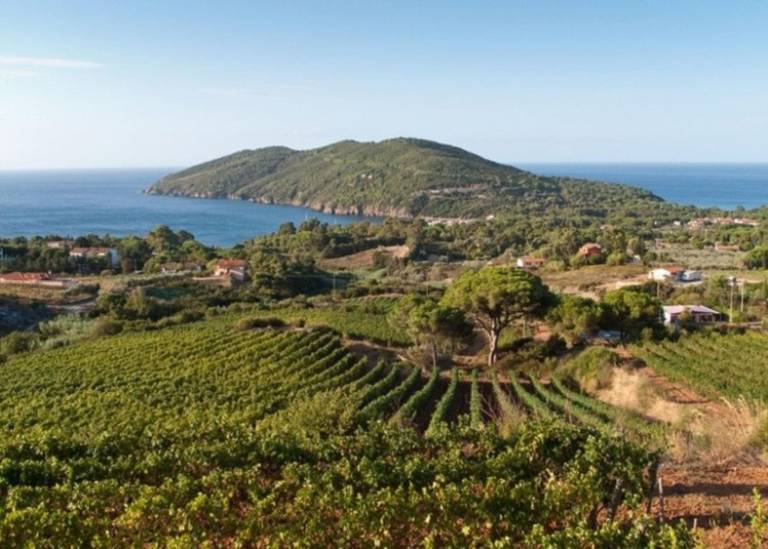 Villa Portoferraio