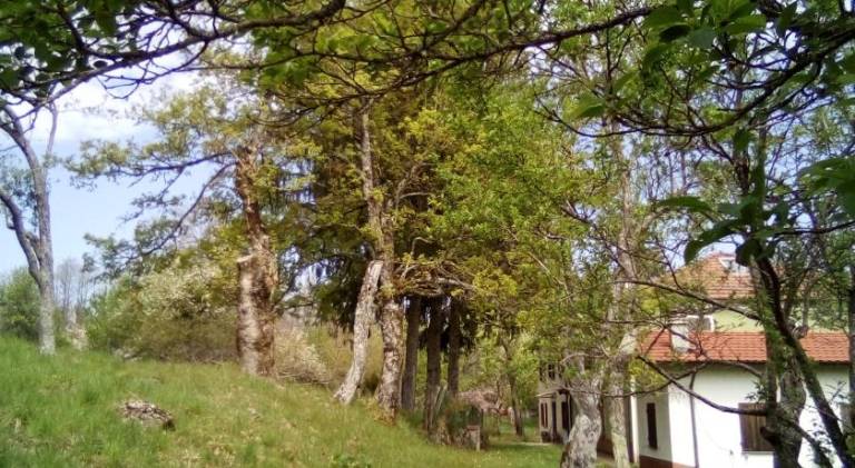 foto16
