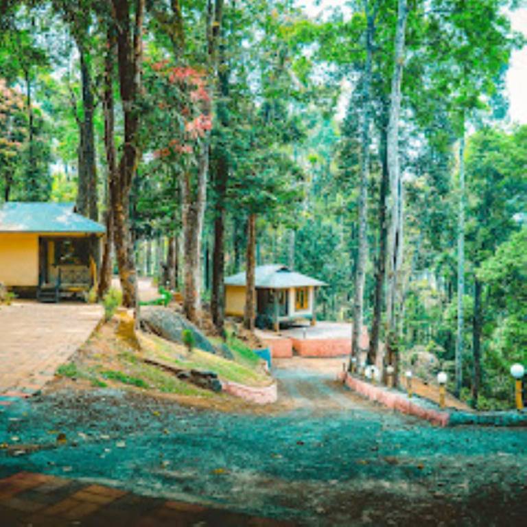 Vythiri wild forest resort — photo 5