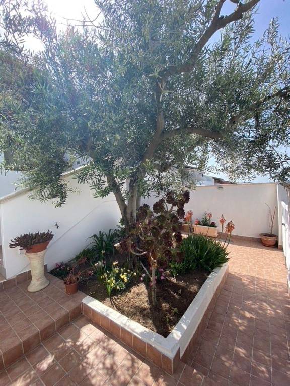 foto42