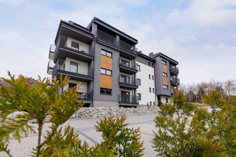 Family-oriented apartment with yard | Mountain view | Dogs allowed — photo 5
