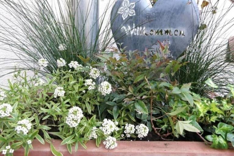 Pension Burgschwalbach