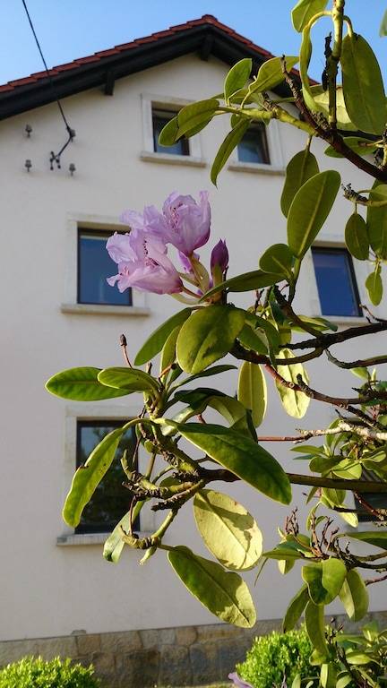 Ferienwohnung Liebethal