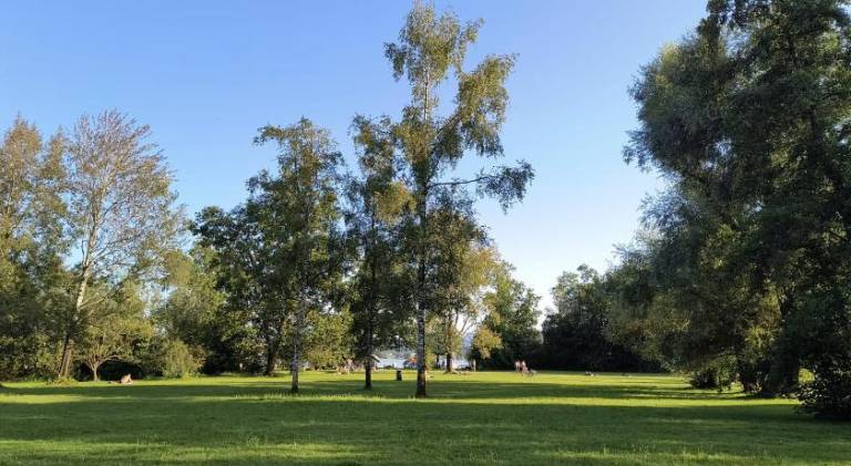 foto11