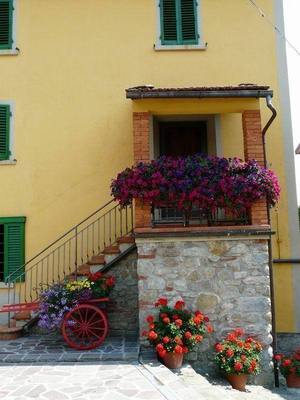 foto4