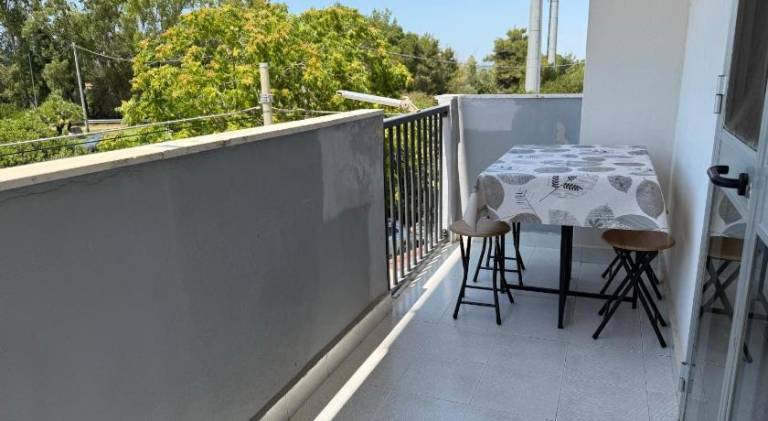 Holiday apartment | Dogs allowed — photo 3