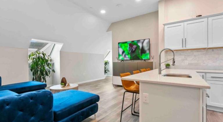 Nice apartment | Pet-friendly in New Haven, CT