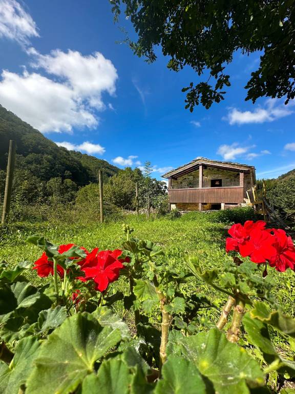 Casa Selaya