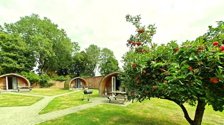 Charming camping suite with BBQ | Pet-friendly — photo 3