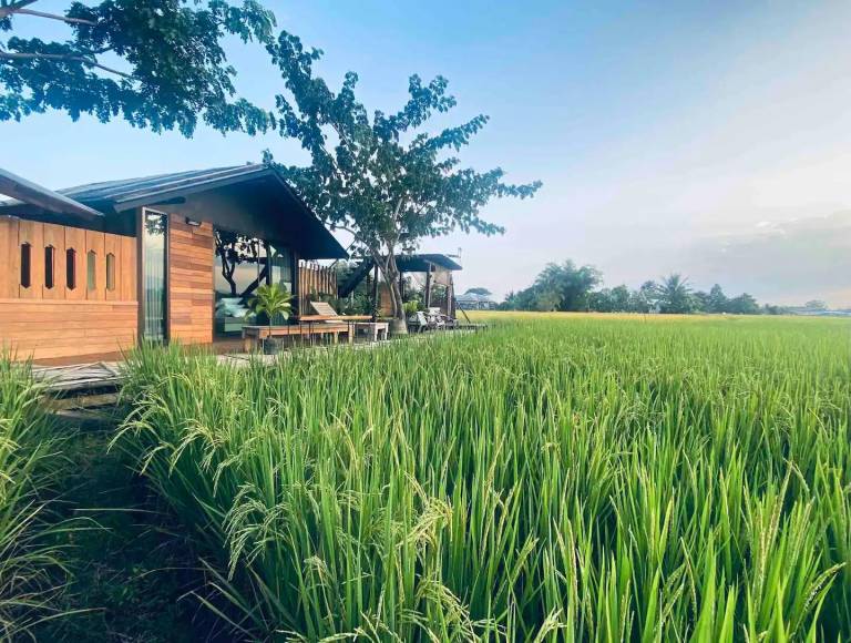 Kohde San Sai Luang