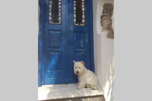 σπίτι Kourounochori