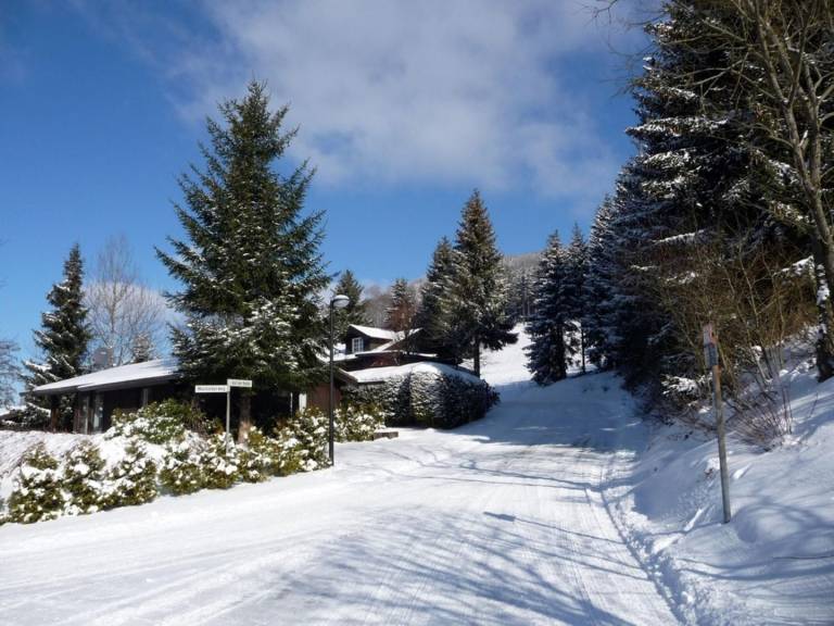 Geräumiges Ferienhaus in Winterberg mit Sauna, Glasfaser und Bergblick — photo 3