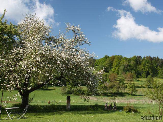 foto11