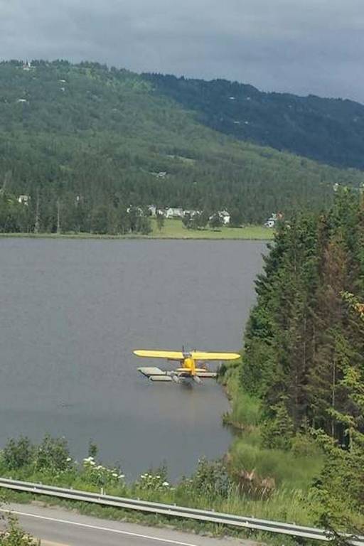 Beluga Lake Lodge — photo 4