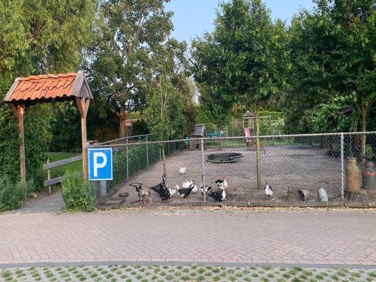 foto21