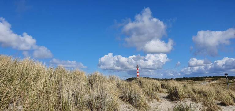 foto20
