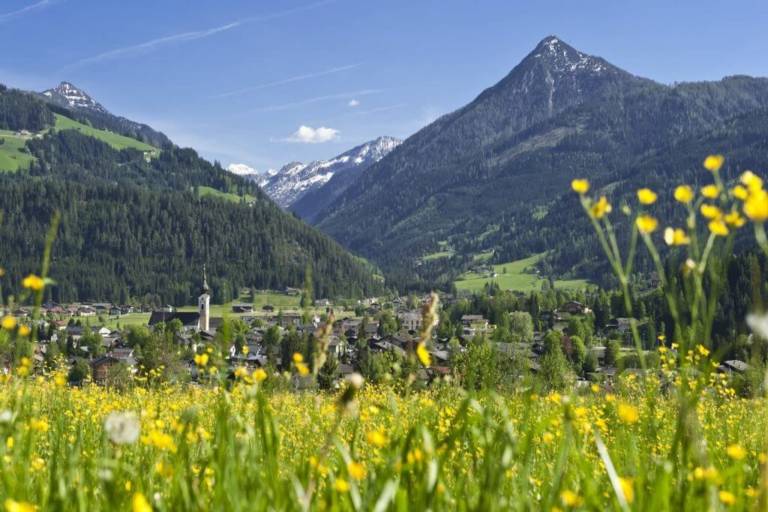 Ferienwohnung mit Hund in Altenmarkt im Pongau, Salzburger Sportwelt f&uuml;r max. 6 Personen