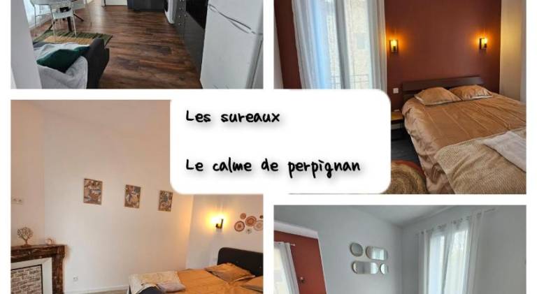 Holiday apartment | Dogs allowed in Perpignan