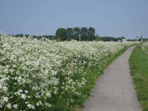 foto3
