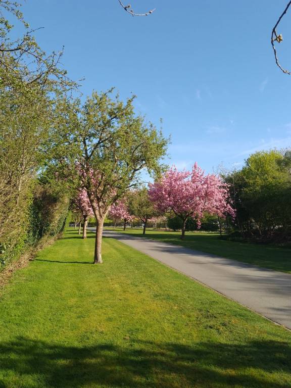 foto40