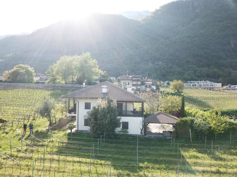 Apartment 'Weingut Hochleiten' with Mountain View, Balcony and Wi-Fi — photo 4