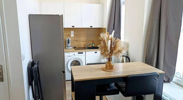 Charming holiday apartment | Pets are welcome in Roubaix