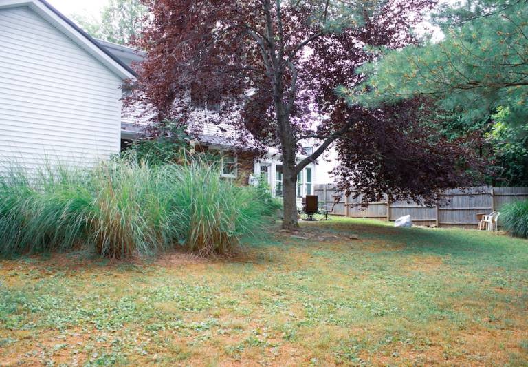 House Bloomington