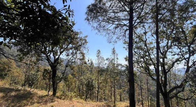 foto5