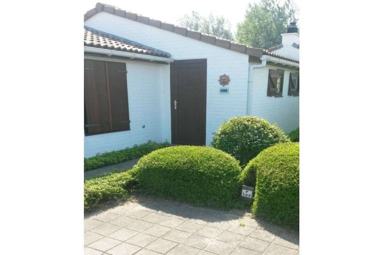 foto2